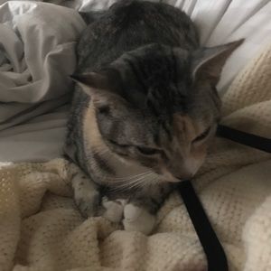 Meet your Posher, Alec